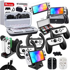 21 in 1 Switch Accessories Kit